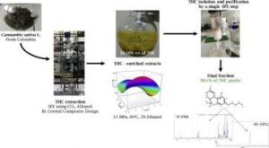 Non-Toxic Cannabis Extraction Methods for Safer Labs